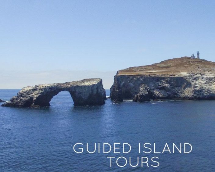 Guided Island Tours