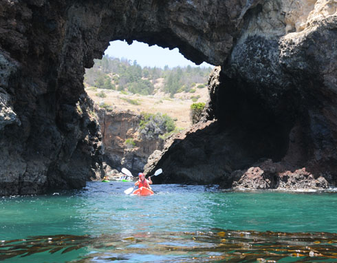 Island Cave Tours
